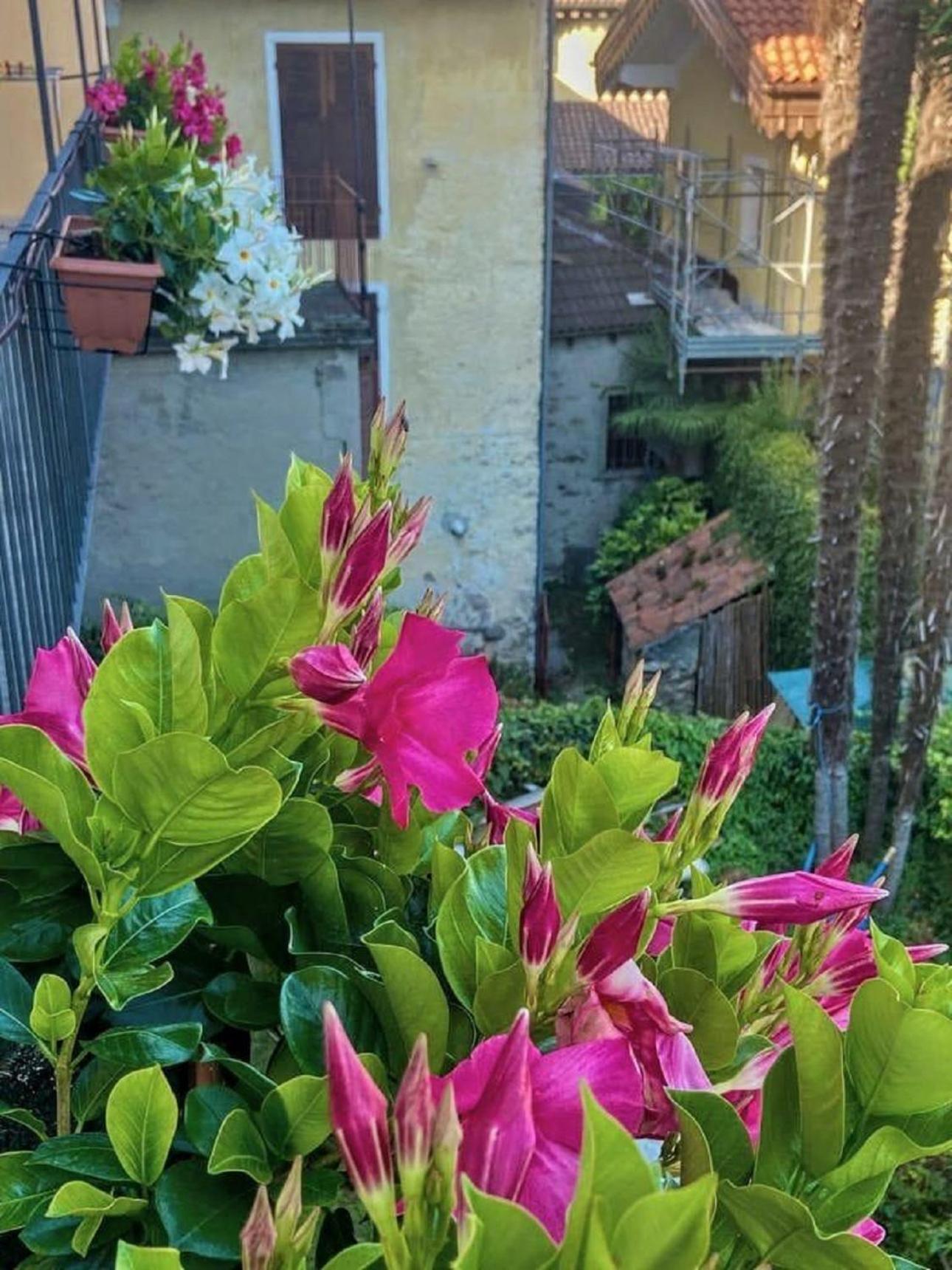 Appartamento Casa Doris Oggebio Esterno foto